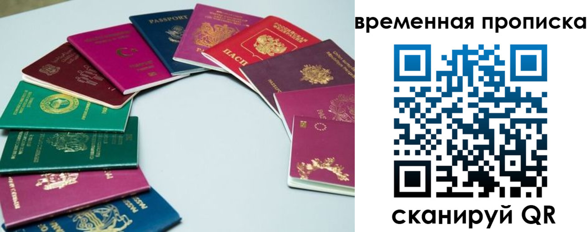 найти адрес прописки в Коле